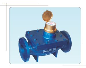 Dasmesh Water Meters | Interchangeable Type Removable Mechanism